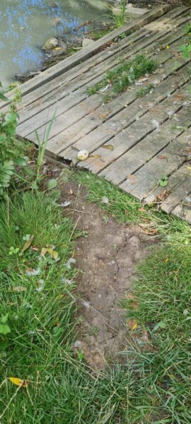 Min föreläsning om attraktionslagen och dess verktyg