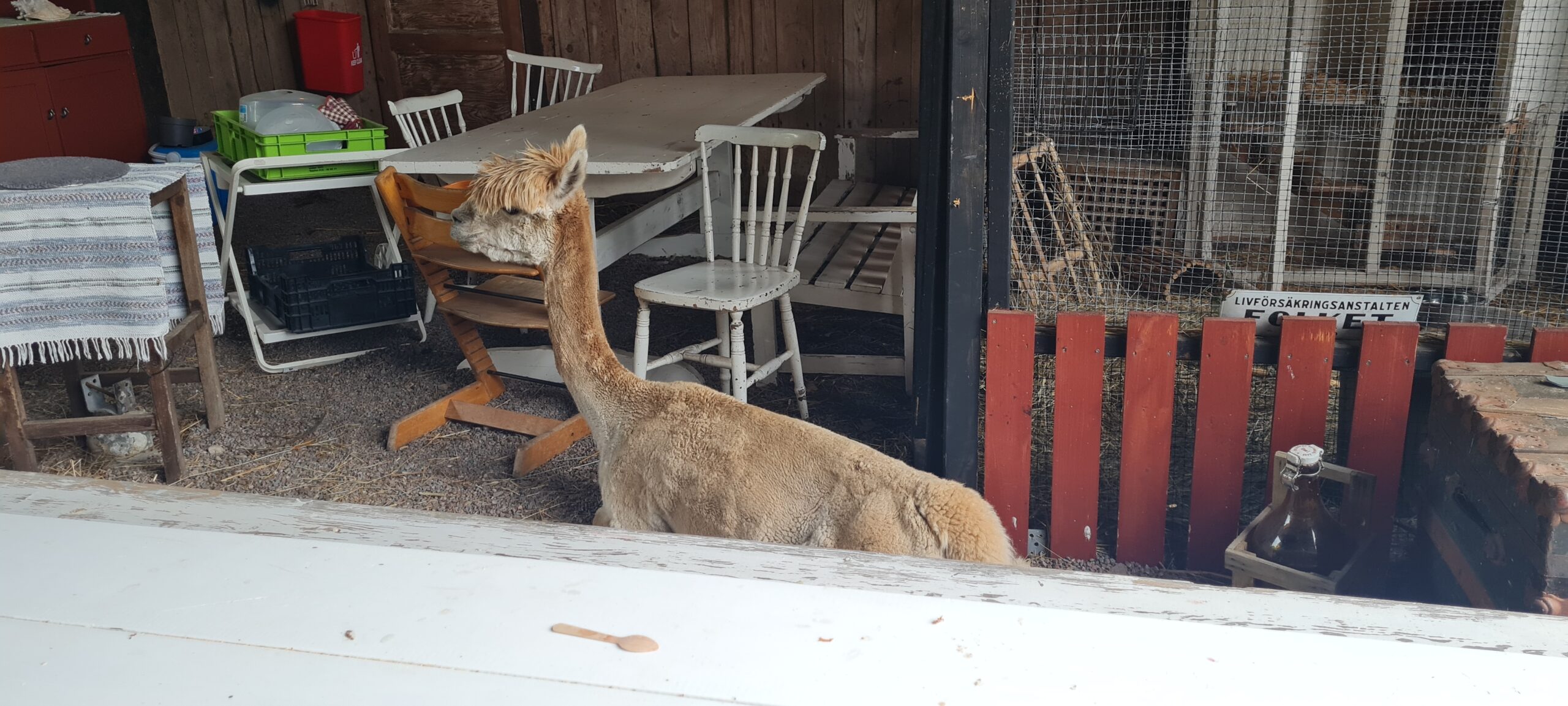 Bergby djur & lantcafé Heby Örbyhus