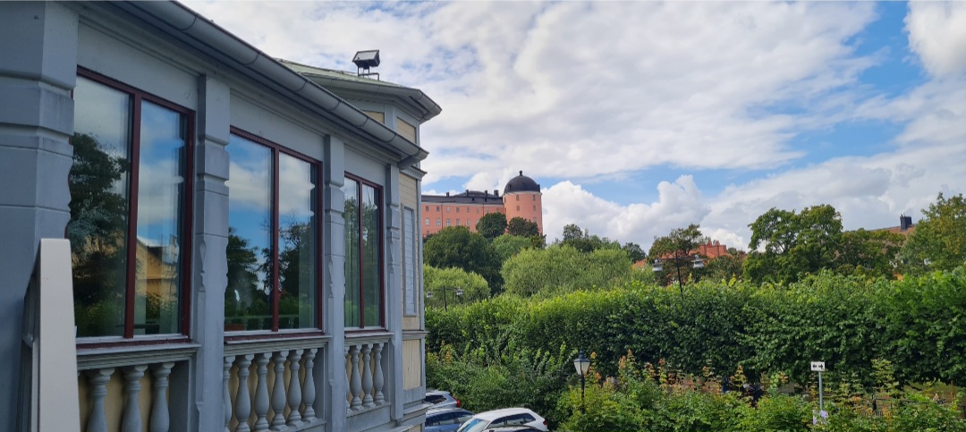 Flustret och Uppsala slott
