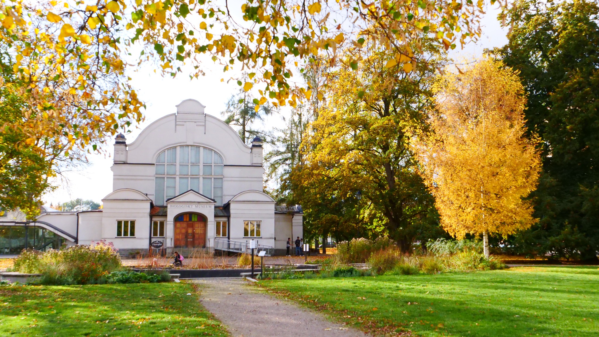 När Carl von Linné Spökar på Biotopia Uppsalas naturmuseum får liv på kvällen