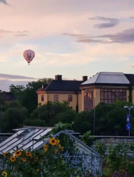 Flyga luftballong i Uppsala och Stockholm